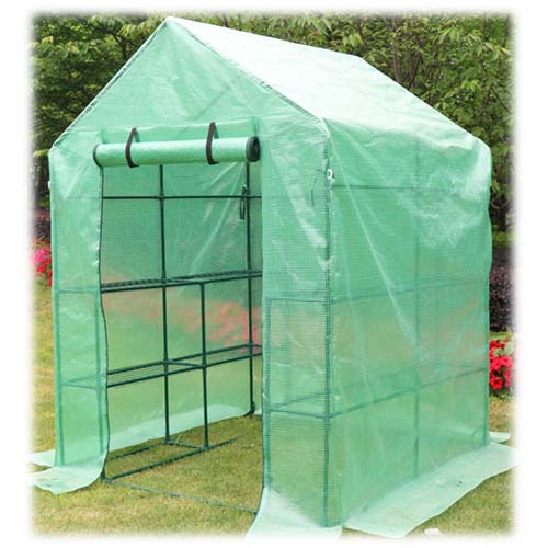 Walk In Greenhouse