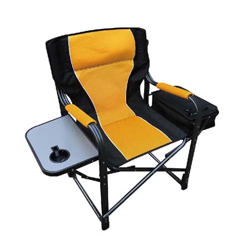 Director’s Chair with side cooler bag